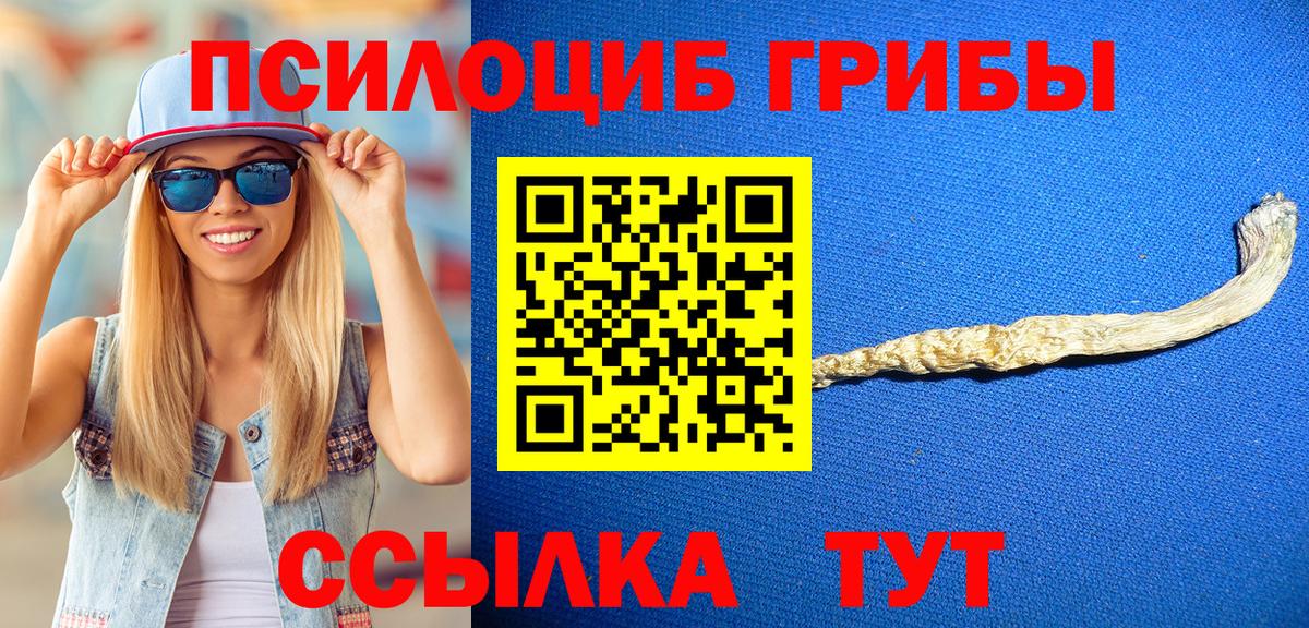 Галлюциногенные грибы Psilocybe Назарово