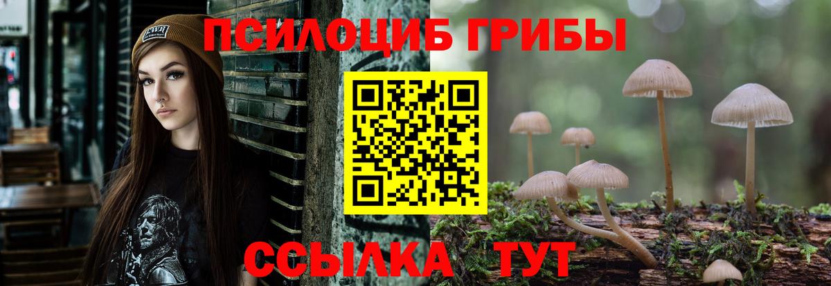 закладки  Псилоцибиновые грибы Magic Shrooms  Вход с VPN  Назарово 